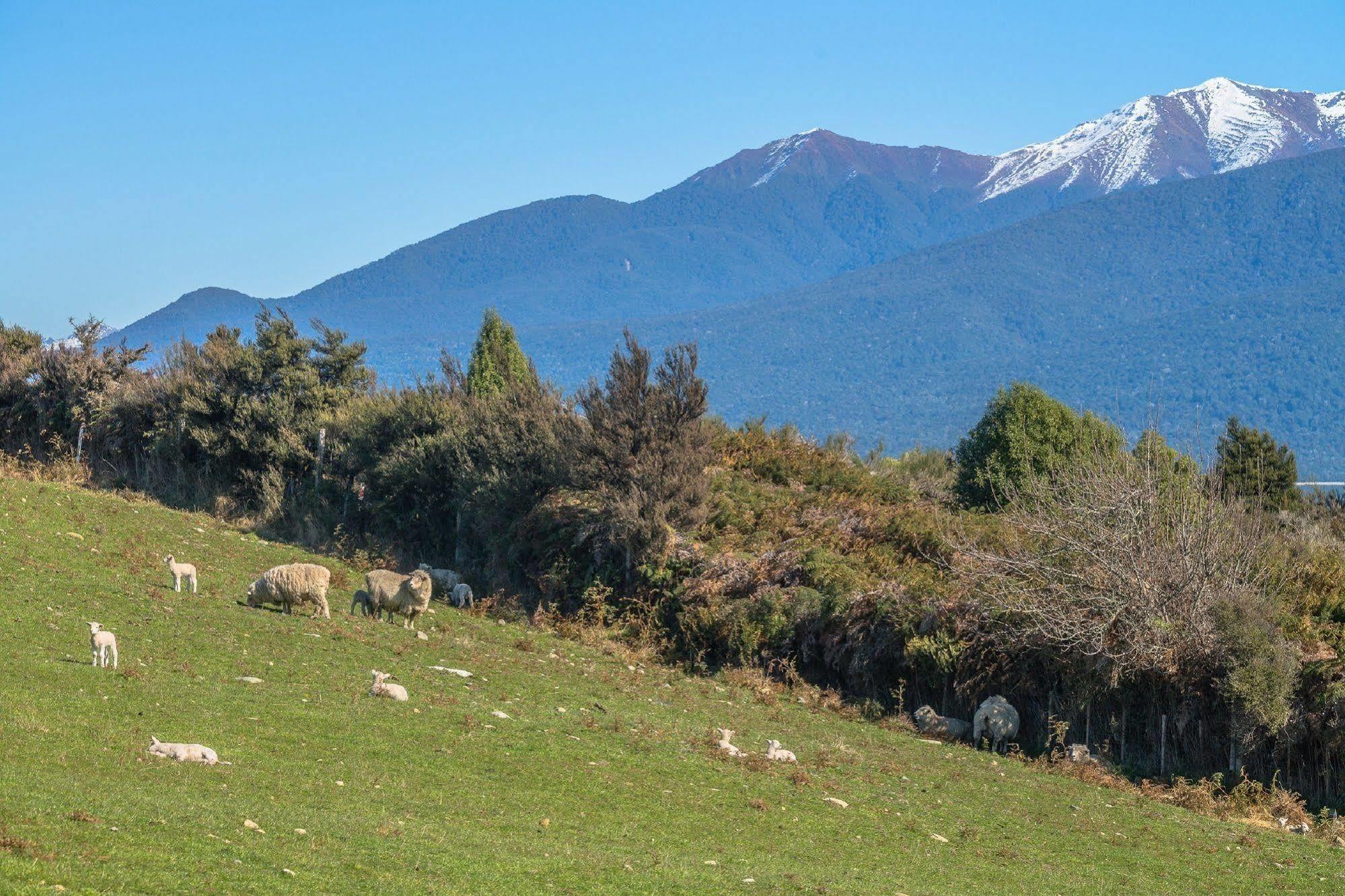 Loch Vista Bed & Breakfast Te Anau Ngoại thất bức ảnh